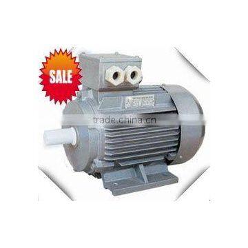 induction motor