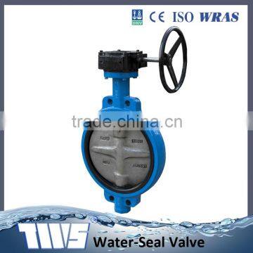 Worm Gear Butterfly Valve photo-2