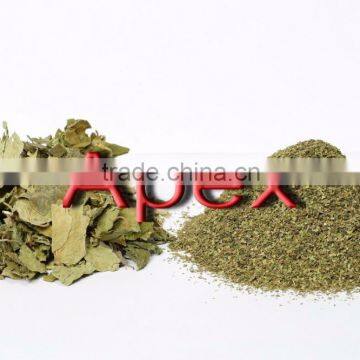 Gymnema Sylvestre T Cut / Gymnema Powder / Gymnema Sylvestre Leaves