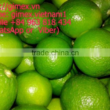 Best Fresh Lime and Lemon in Vietnam