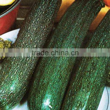 Imported Squash Green seeds