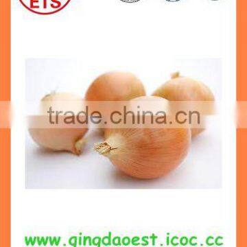 2016 BUlk MARKET PRICE Fresh Yellow Onion