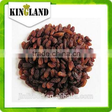 China Top Grade AAA Sultana Raisin With Best Price and High Quality