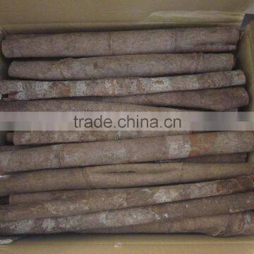 HIGH QUALITY CASSIA TUBE