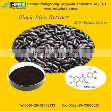 GMP Factory Supply Natural Black Rice Extract Powder