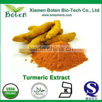 GMP Manufacturer Supply Best Selling Bulk Curcumin Powder