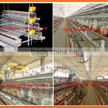 TAIYU-04 chicken laying egg cages(Export standard,professional manufacturer,battery cage for poultry farm)