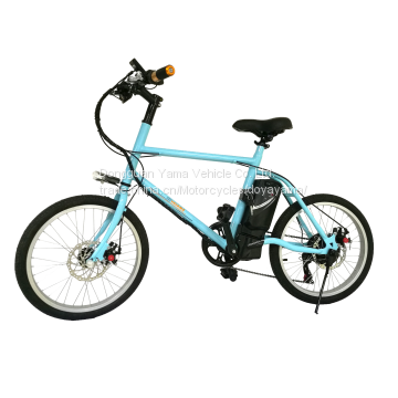 normal bike electric bike bicycle with lithium battery