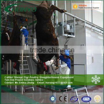 Halal Ritual Slaughtering Equipment Equipping to Cattle Slaughter House photo-4