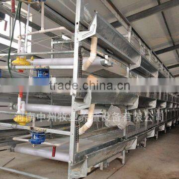 Automatic belts manure removal machine for poultry farm