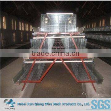 Folding Metal Chicken Layer Cage