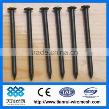 concrete steel nail/nail/common nail iron nail factory