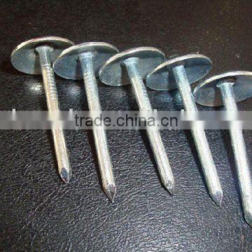 Galvanized Roofing Nail