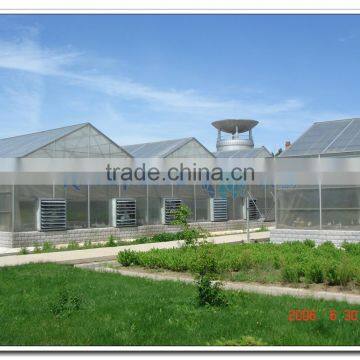 Large Pinnacle Ridge Roof PC Greenhouse photo-2