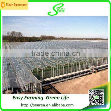 Greenhouse Glass Cover for Sale photo-2