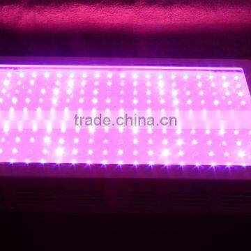 High Quality Greenhouse Cheap 600w Led Grow Lights for Sale photo-4