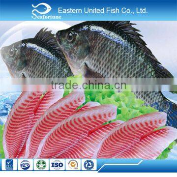 Top Quality and Competitive Price CO Treated Ivp Frozen Tilapia Fillet photo-4