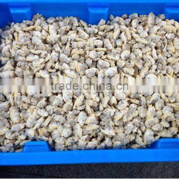 10kg bulk pack yellow clam meat
