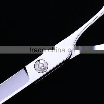 Stainless Steel Blade Pet Grooming Scissor for Dog and Cat photo-3
