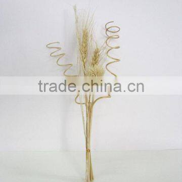 Factory Audited Colorful Aroma Straight Rattan Stick / Reed Stick/ Curl Rattan Reed Stick for Diffuser