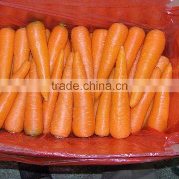 Chinese Fresh Carrots for Export photo-2