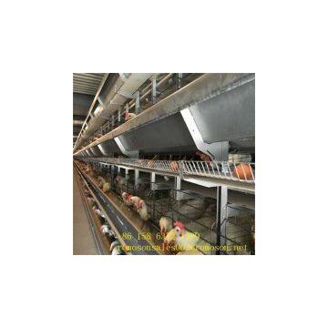 complete measure of cage for pullets_shandong tobetter reasonable structure