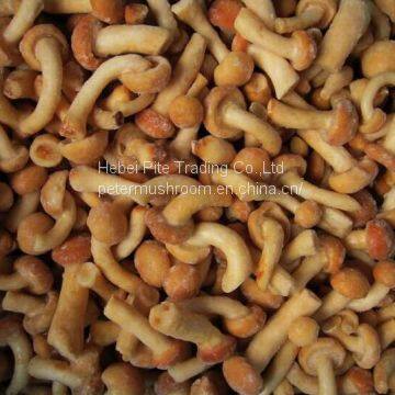 Edible Mushroom Fungus Frozen Frozen Frozen Nameko