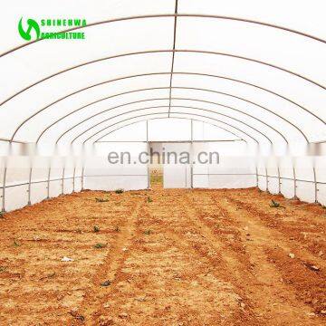Low Cost Mini Greenhouse Used For Sale