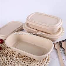 Bagasse Take out Lunch Box for Office 1000ml Disposable Food Storage Container