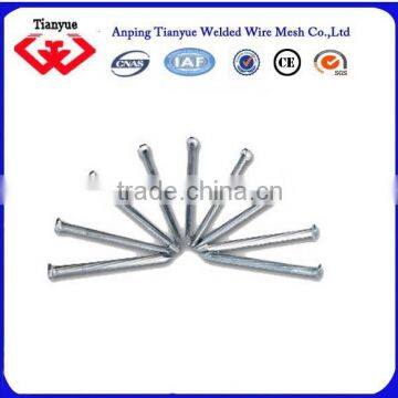 Price of Iron Nails photo-3