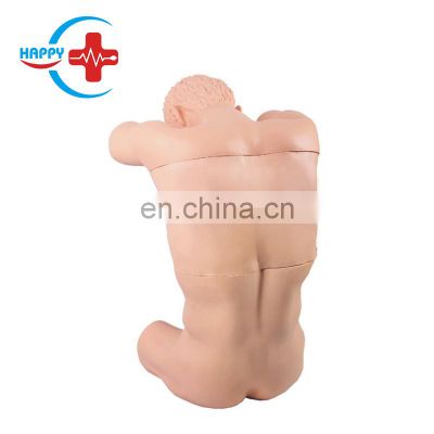 HC-S503 Medical training human back puncture training model & thoracic puncture teaching manikin