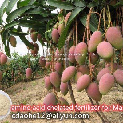 Plant Source Vegetable Fertilizer Amino Acid 52% Soluble Powder Free Aminoacids 45% photo-3