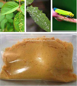 China Manufacture Agrochemical Hot Sale Pesticide Nitenpyram 95%tc Insecticides for Pest Control photo-3