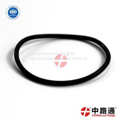 Unit Pump Injection System in Diesel Engine for Yanmar Diesel Engine Injector Pump photo-3