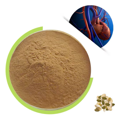 Pumpkin Seed Extract Powder 25% Food Grade Fatty Acid for Health Food