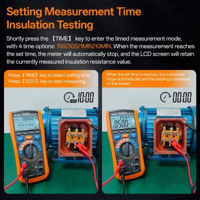 Vici VC4060PD 100V 250V 500V 100V 2500V 50GΩ Insulation Multimeter photo-3
