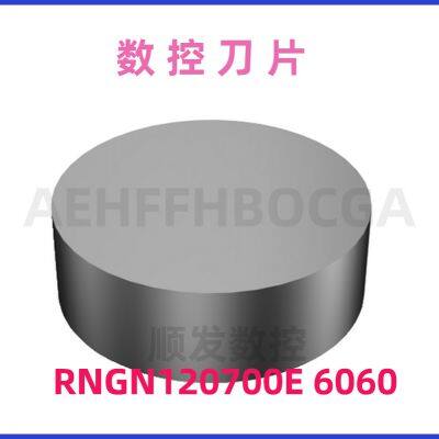 CNC Cutting Insert SANDVIK RNGN120700E 6060