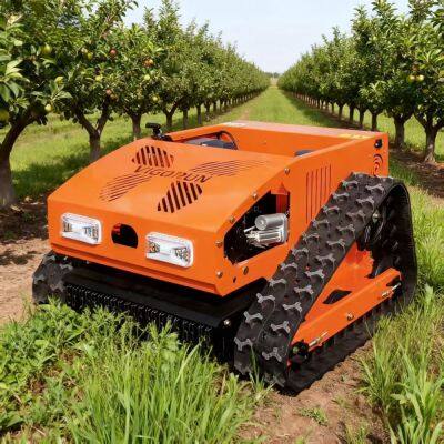 Mowing Grass Brushless Walking Motor Cutting Width 550 Millimeters New Design Orchards Lawn Mower Robot