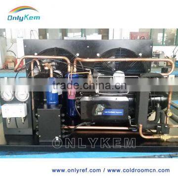 Copeland Compressor Cold Room Condensing Unit For Cold Storage Room photo-5