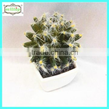 12cm new design hot sale cactus make artificial bonsai