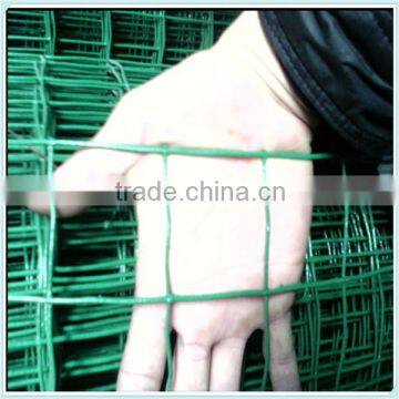 1/4" pvc coated holland welded wire mesh