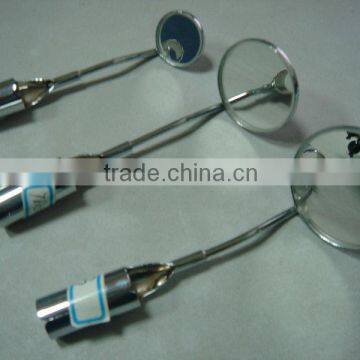 oral endoscope