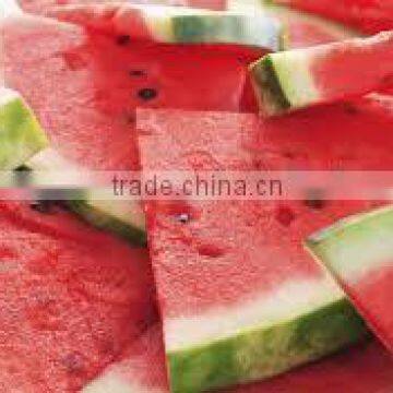 FRESH WATERMELON FRUIT