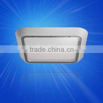 NO.1 Energy Saving 125lm/w Gas Station Led Lighting Explosion Proof Lamp 40w Led Canopy Light for Gas Station photo-3