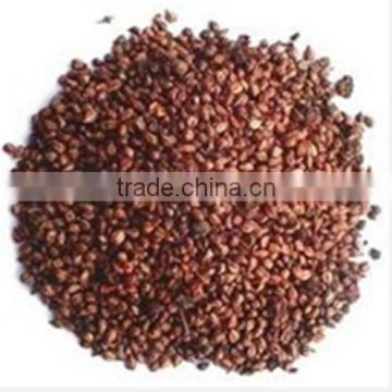 100% purity Grape seed extract