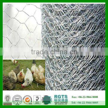 hot sale prime hexagonal wire mesh/ chicken wire mesh with low price