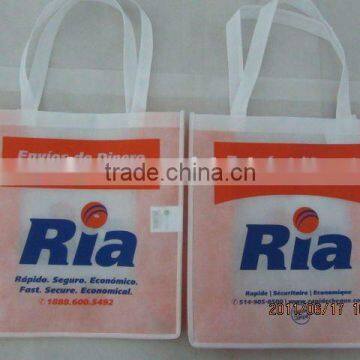 PP Non Woven Shopping Bag