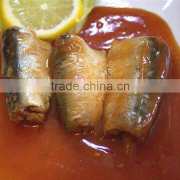 425g Canned Sardine in Tomato Sauce(WW-155) tin paking with HACCP IFS,BRC ISO