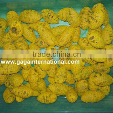 Turmeric