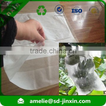 PP spunbond non woven banana protection growing bag/nonwoven banana fruit cover bag